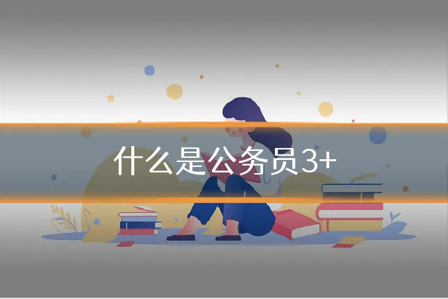 什么是公务员3+
