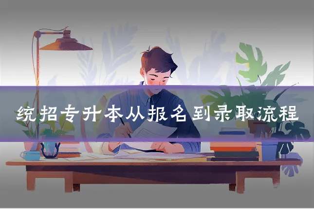 统招专升本从报名到录取流程
