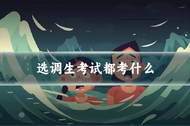 选调生考试都考什么
