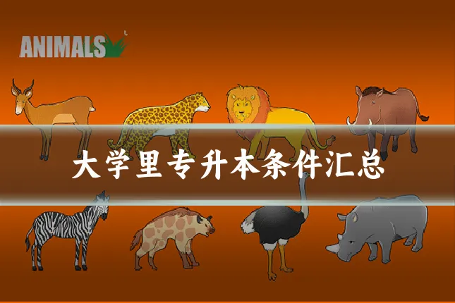 大学里专升本条件汇总