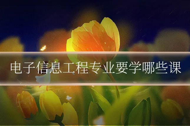 电子信息工程专业要学哪些课