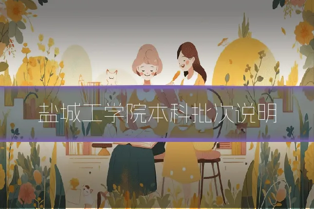 盐城工学院本科批次说明