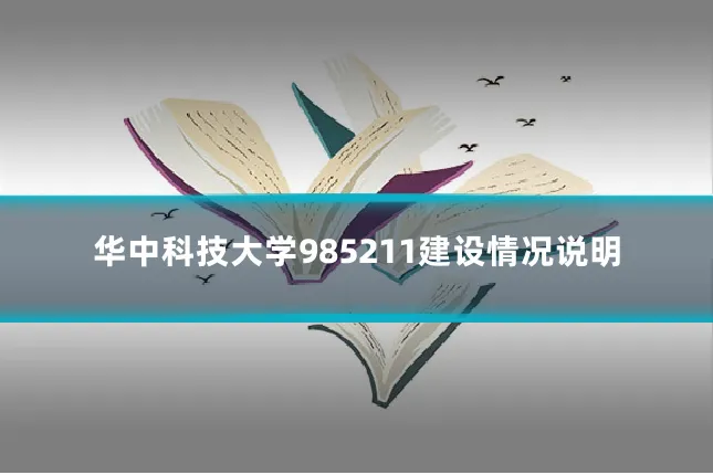 华中科技大学985211建设情况说明