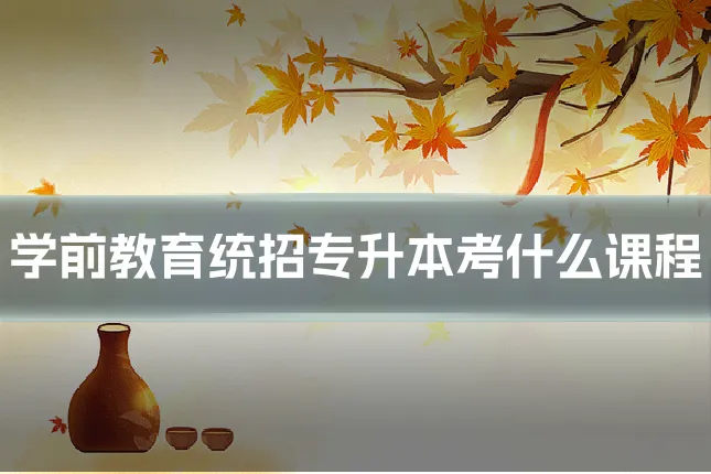 学前教育统招专升本考什么课程