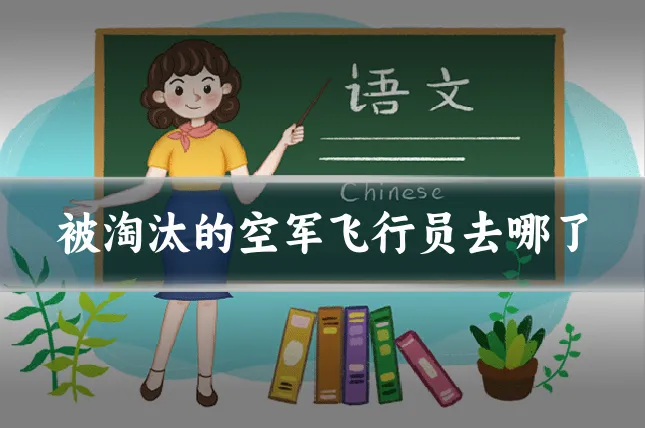 被淘汰的空军飞行员去哪了