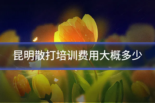 昆明散打培训费用大概多少