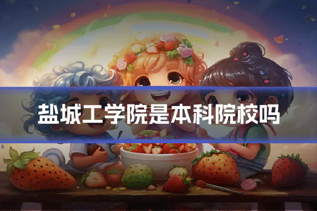 盐城工学院是本科院校吗
