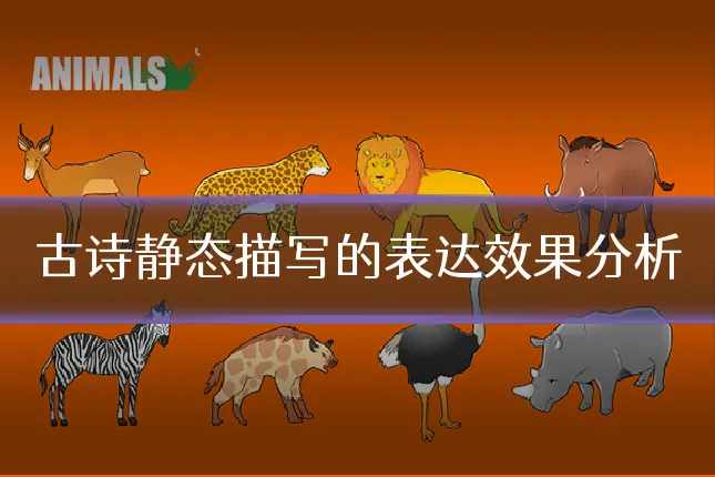 古诗静态描写的表达效果分析