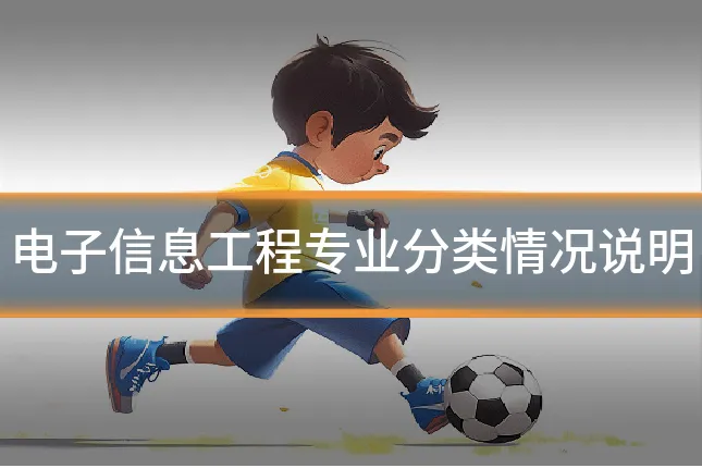 电子信息工程专业分类情况说明