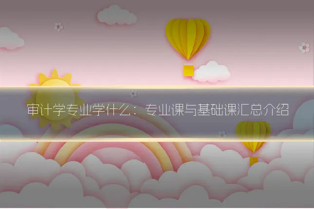 审计学专业学什么:专业课与基础课汇总介绍