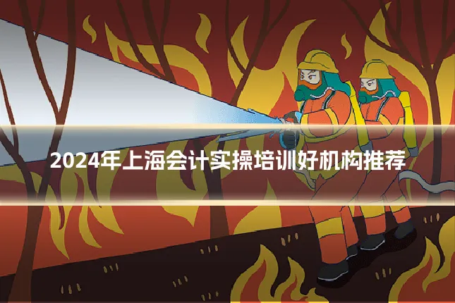 2024年上海会计实操培训好机构推荐
