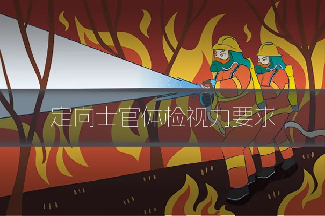 定向士官体检视力要求