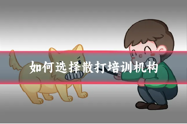 如何选择散打培训机构