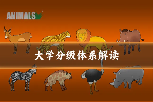 大学分级体系解读