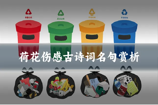 荷花伤感古诗词名句赏析