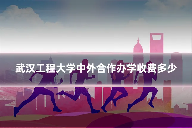 武汉工程大学中外合作办学收费多少