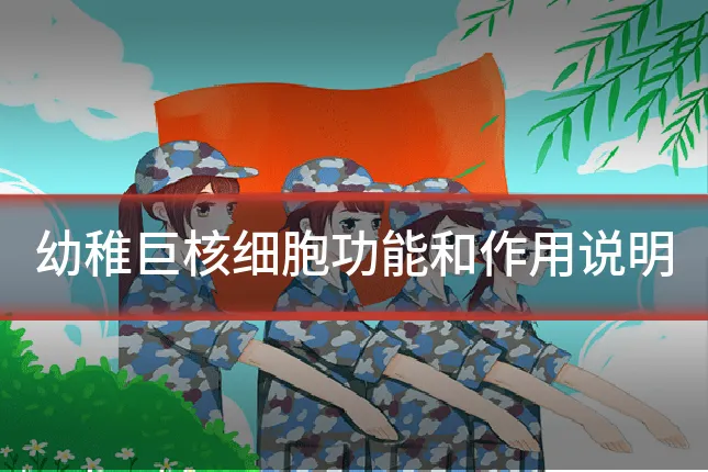 幼稚巨核细胞功能和作用说明