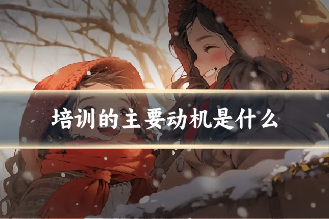 培训的主要动机是什么