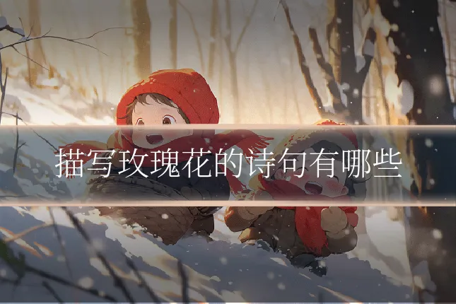 描写玫瑰花的诗句有哪些