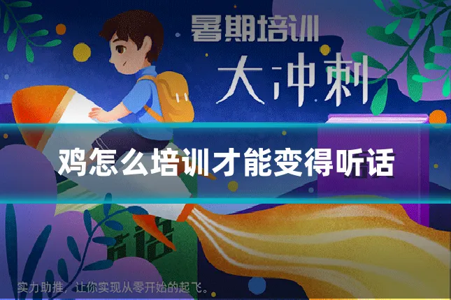 鸡怎么培训才能变得听话