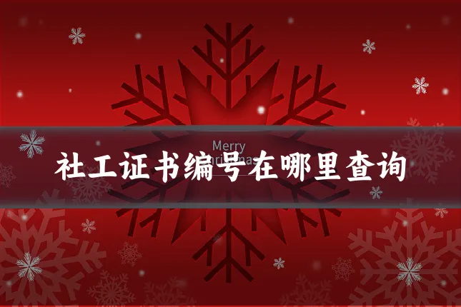 社工证书编号在哪里查询