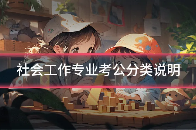 社会工作专业考公分类说明