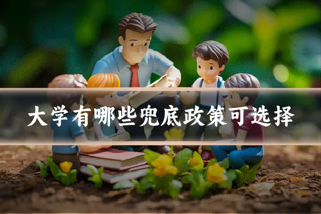 大学有哪些兜底政策可选择