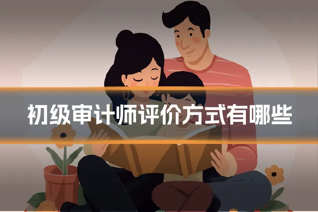 初级审计师评价方式有哪些