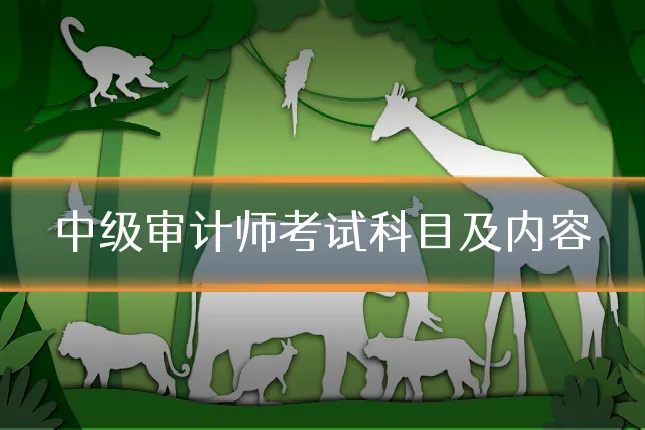 中级审计师考试科目及内容