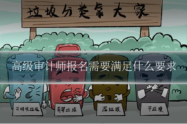 高级审计师报名需要满足什么要求