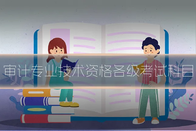 审计专业技术资格各级考试科目