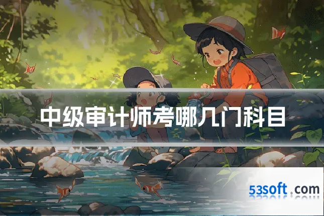 中级审计师考哪几门科目