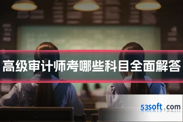 高级审计师考哪些科目全面解答
