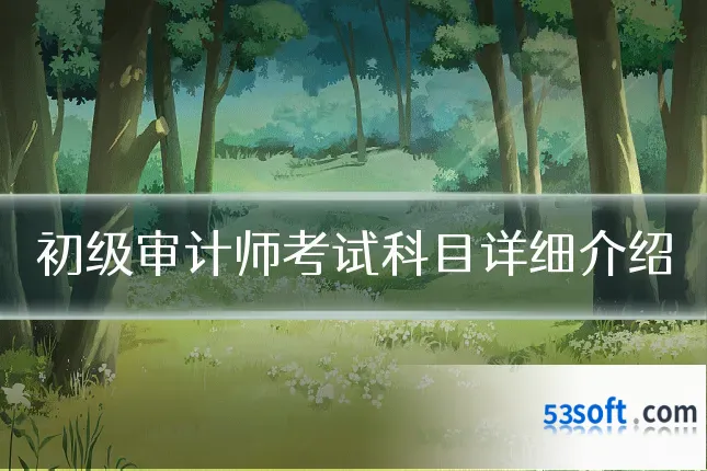 初级审计师考试科目详细介绍