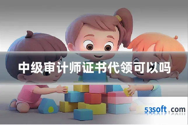 中级审计师证书代领可以吗