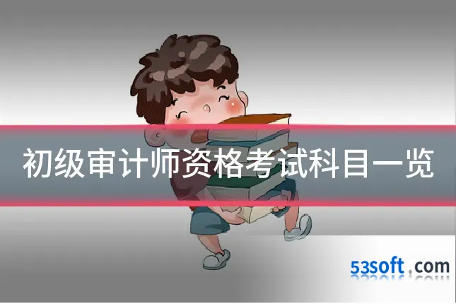 初级审计师资格考试科目一览