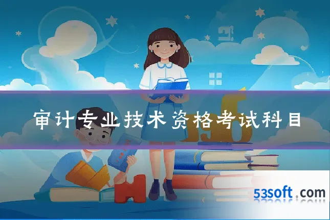 审计专业技术资格考试科目