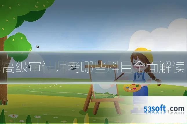 高级审计师考哪些科目全面解读