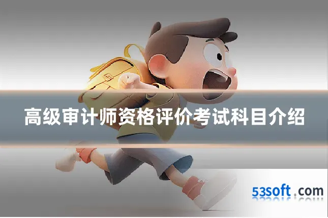 高级审计师资格评价考试科目介绍