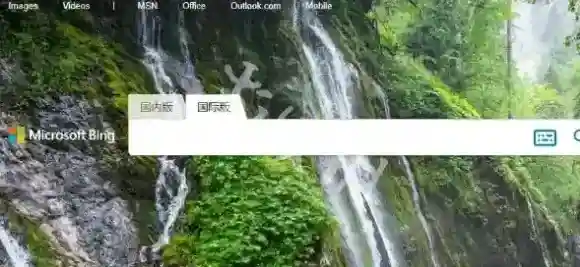 必应信息