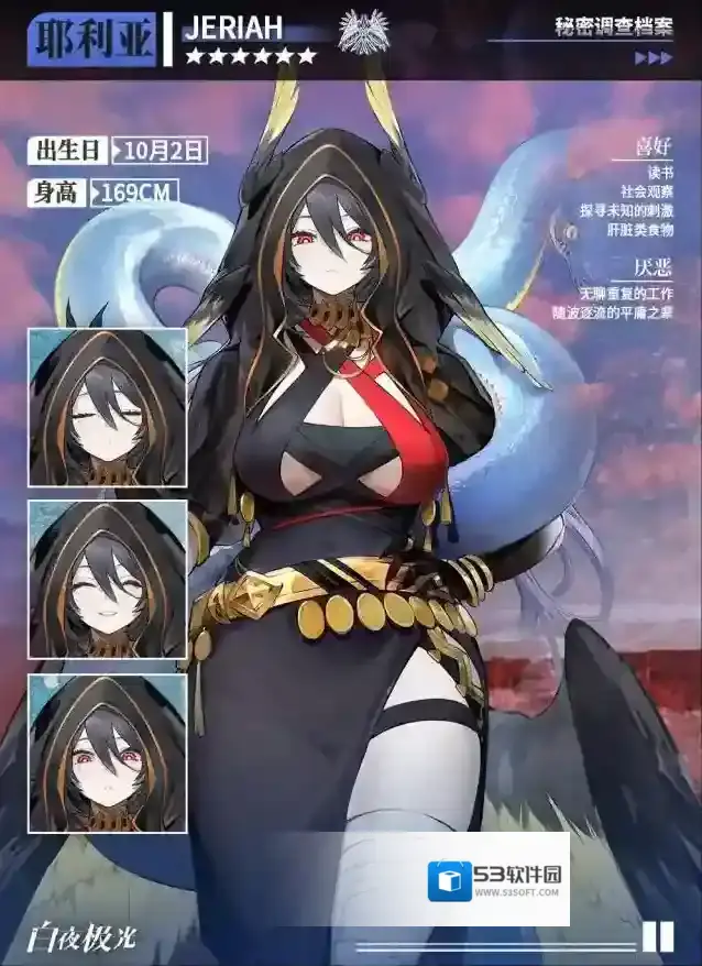 白夜极光心愿单