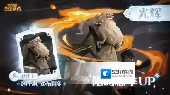 哈利波特魔法觉醒限定