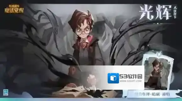 哈利波特魔法觉醒光影