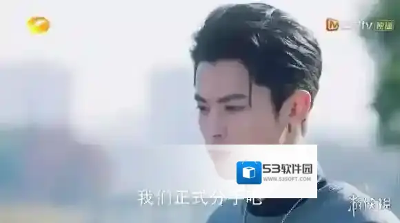 心疼菜寺场是什么梗 杉菜道明寺菜寺场夫妇分手真相