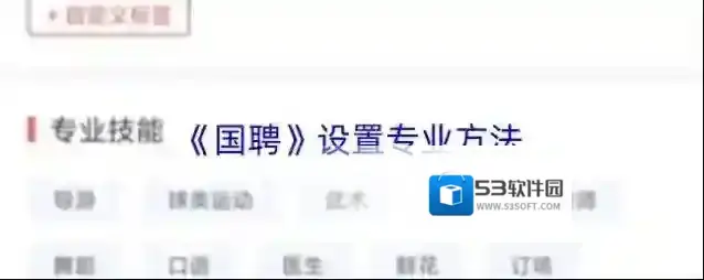 《国聘》设置专业方法