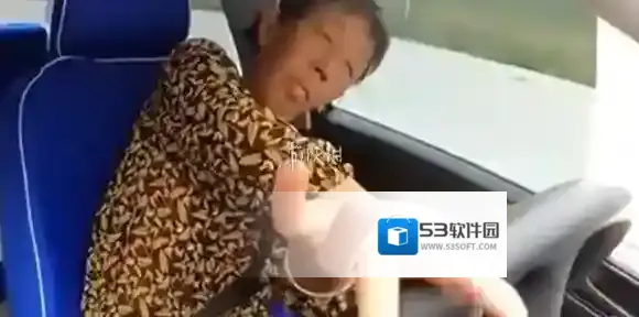 梗百科打方向盘