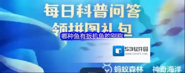 哪种鱼有扳机鱼的别称