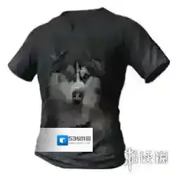 刺激战场哈士奇T恤怎么获得 哈士奇T恤获得方法介绍