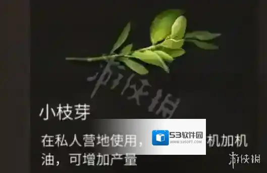 明日之后小枝芽怎么获得 明日之后小枝芽获得方法