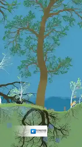 小松林生态系统